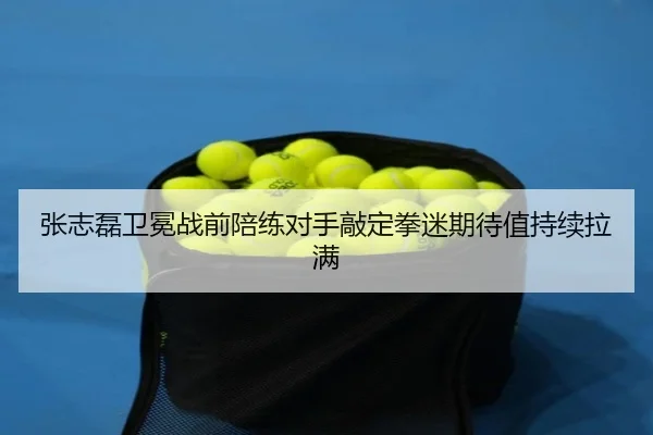 张志磊卫冕战前陪练对手敲定拳迷期待值持续拉满
